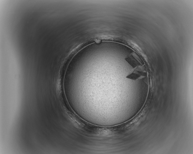 X0000115290249200911090958