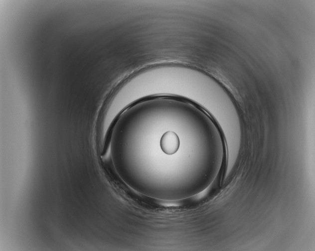 X0000115290252200911090958