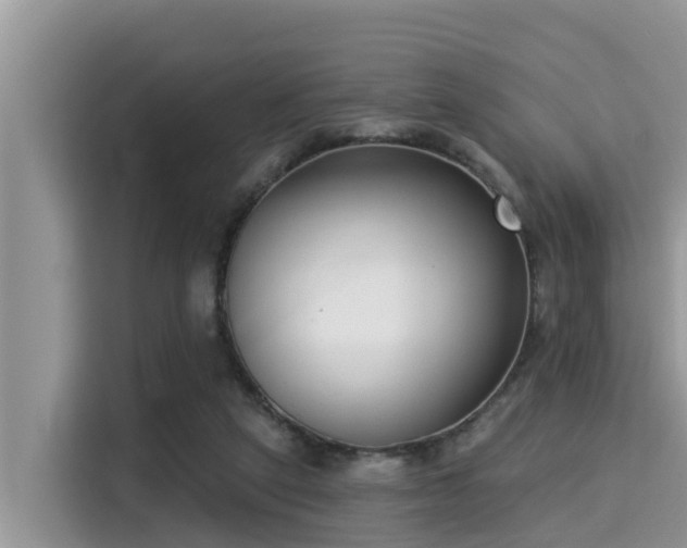 X0000115290257200911090958