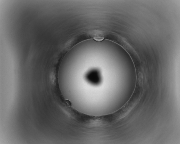 X0000115290259200911090958