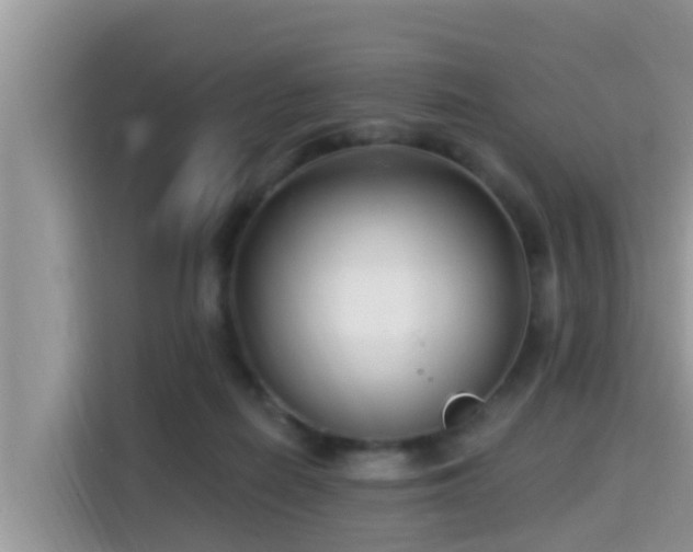 X0000115290266200911090958