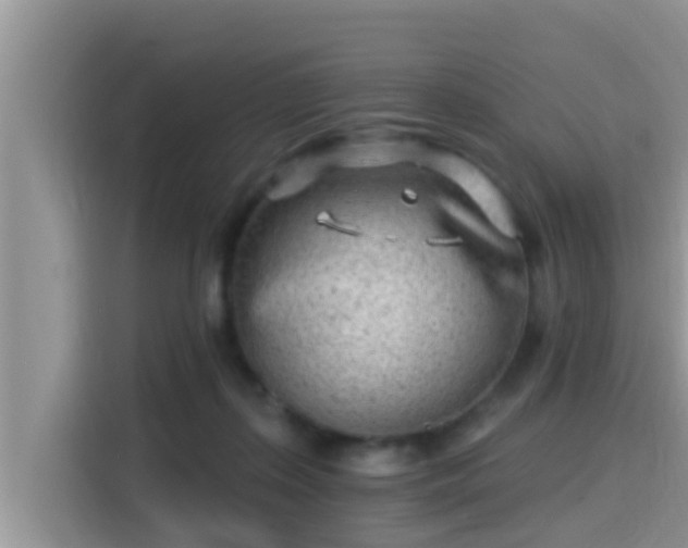 X0000115290267200911090958