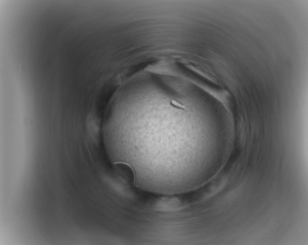 X0000115290271200911090958