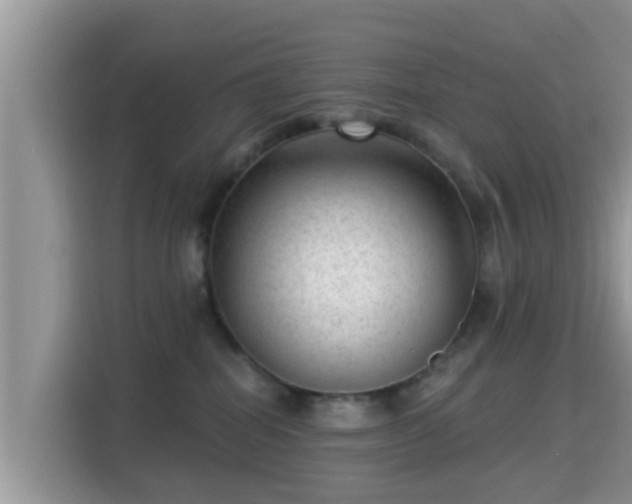 X0000115290282200911090958