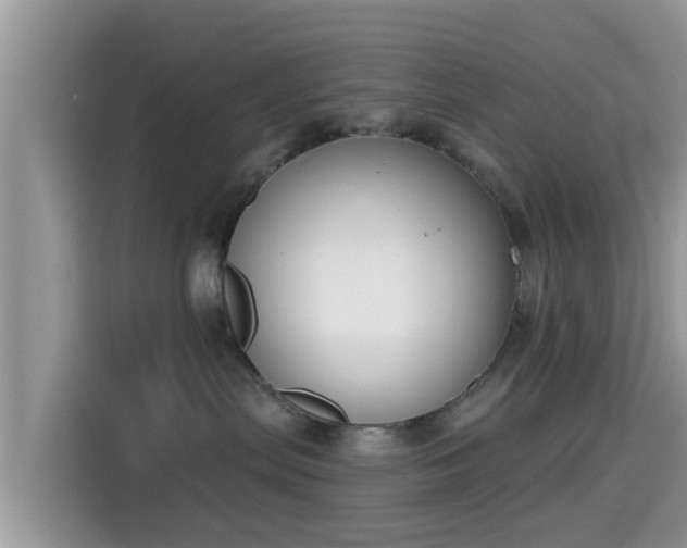 X0000115290287200911090958