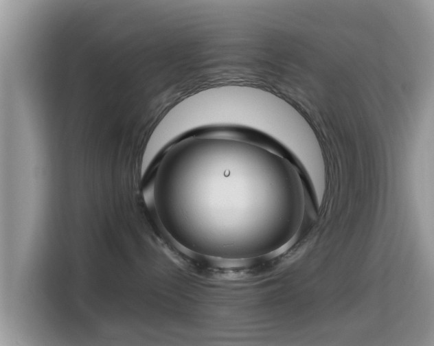 X0000115290288200911090958