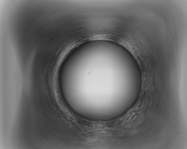 X0000115290289200911090957