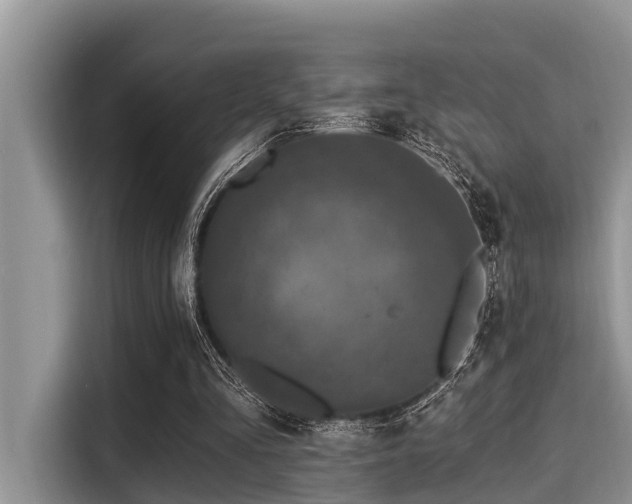 X0000115290293200911090957