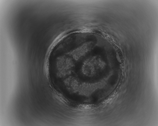 X0000115290295200911090957