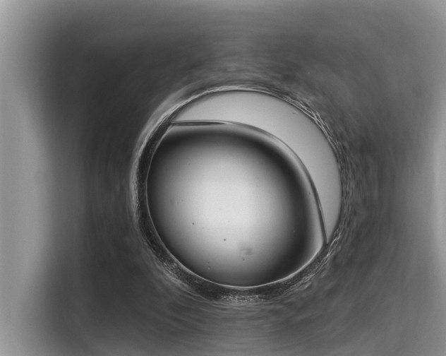 X0000115290296200911090957