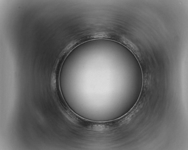X0000115290298200911090957