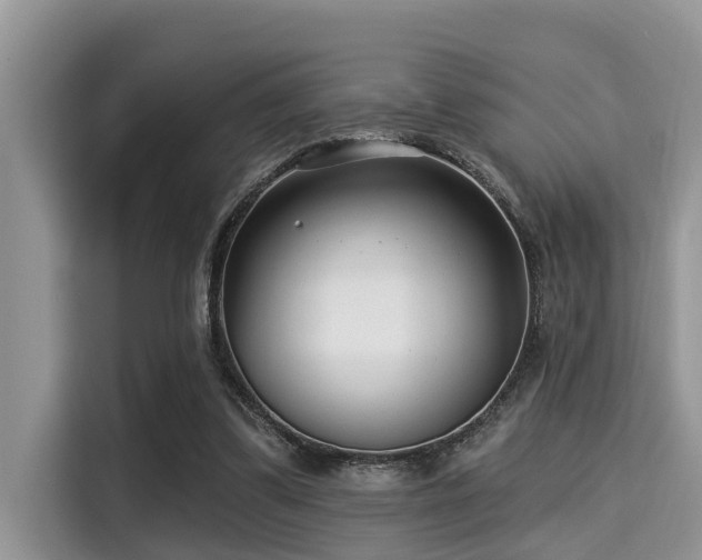 X0000115290299200911090957