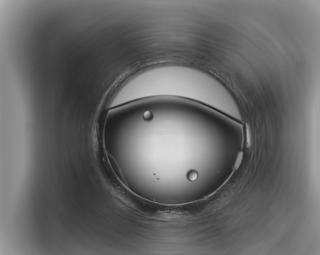 X0000115290300200911090957