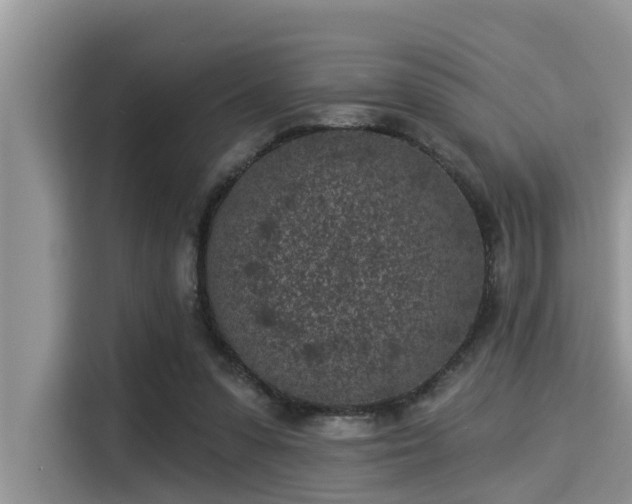 X0000115290303200911090957