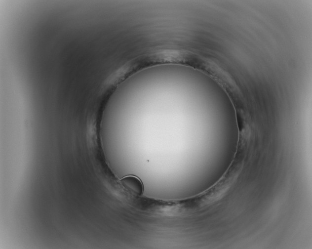 X0000115290306200911090957