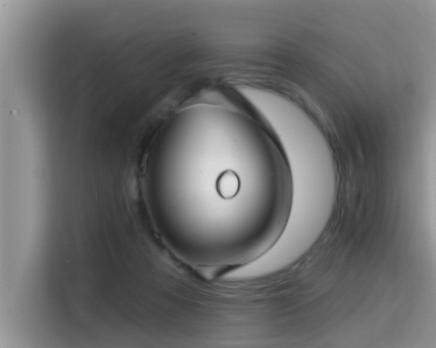 X0000115290313200911090957
