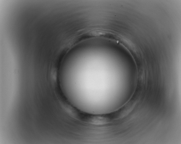 X0000115290315200911090957