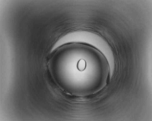 X0000115290316200911090957