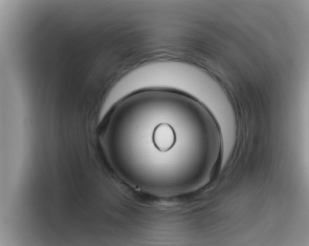 X0000115290317200911090957
