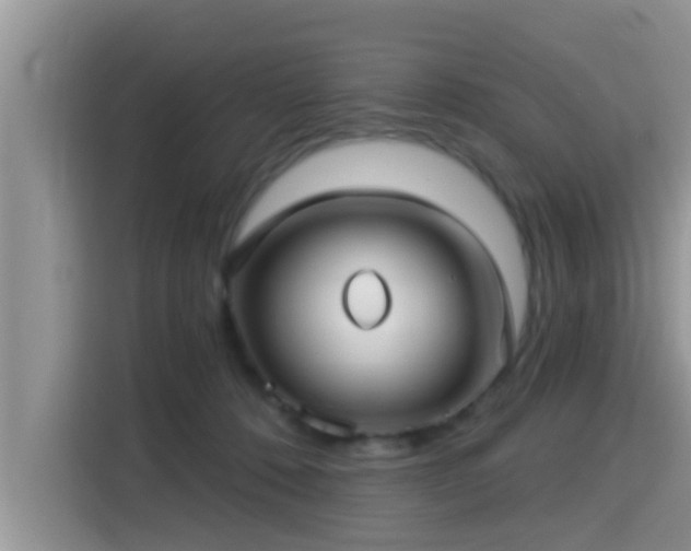 X0000115290320200911090957