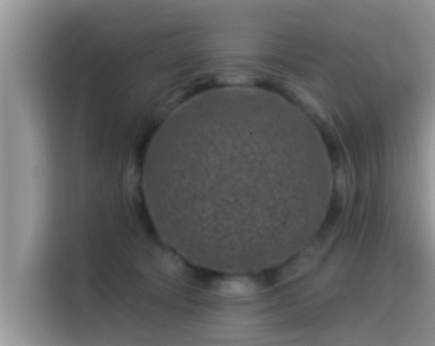 X0000115290322200911090957