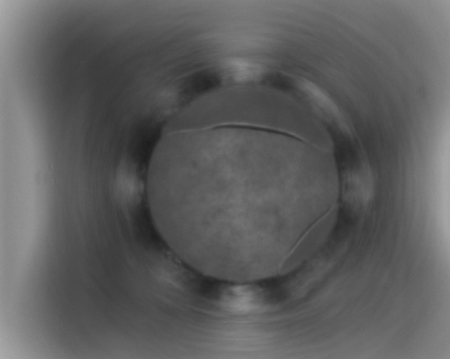 X0000115290324200911090957