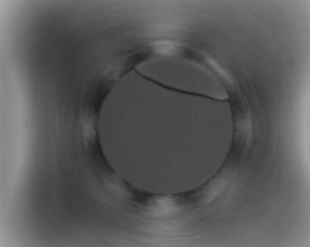 X0000115290325200911090957