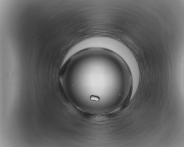 X0000115290327200911090957