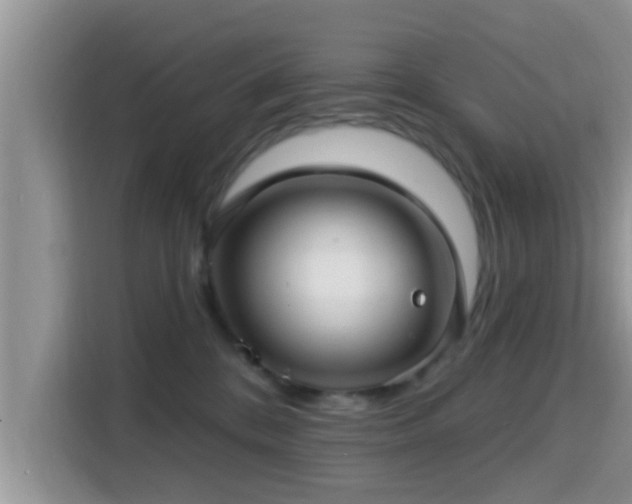 X0000115290328200911090957
