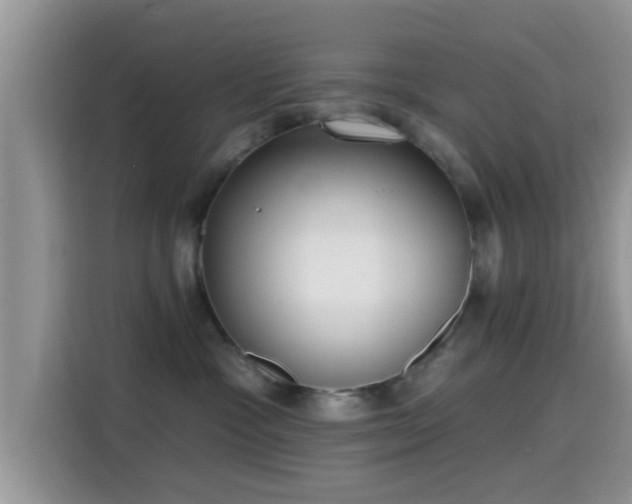 X0000115290333200911090957
