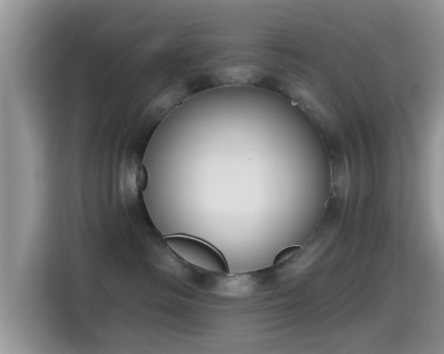 X0000115290334200911090957