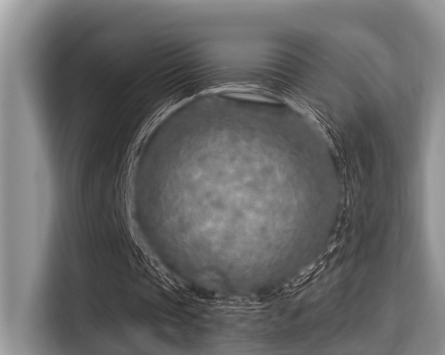 X0000115290337200911090956
