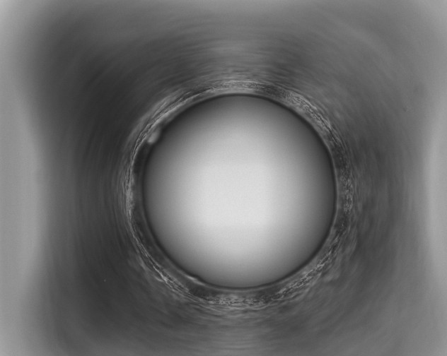 X0000115290338200911090956