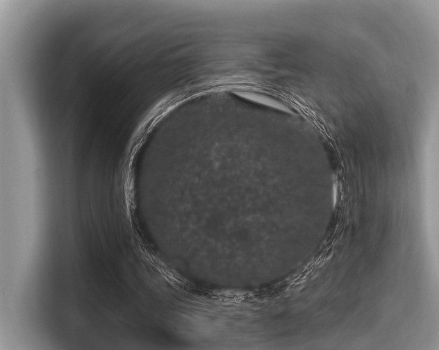 X0000115290339200911090956