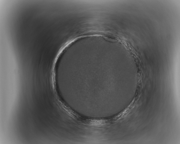 X0000115290342200911090956