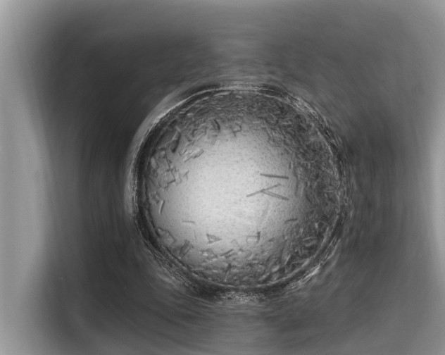 X0000115290343200911090956