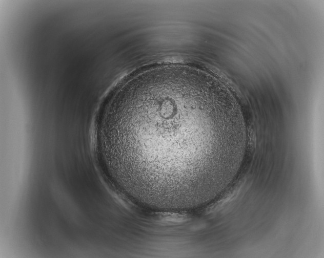 X0000115290347200911090956