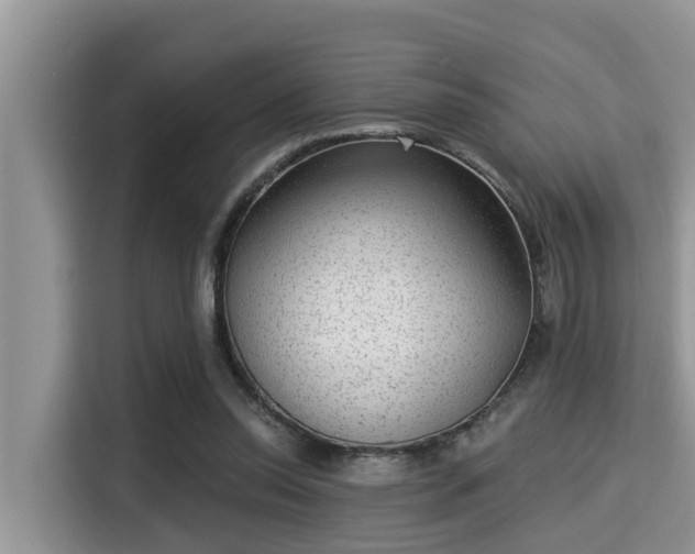 X0000115290350200911090956
