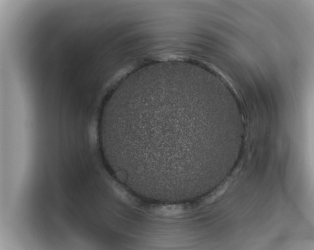 X0000115290353200911090956