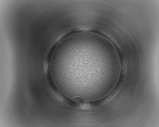 X0000115290355200911090956
