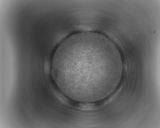 X0000115290359200911090957
