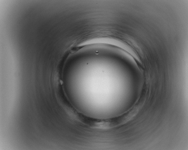 X0000115290362200911090957