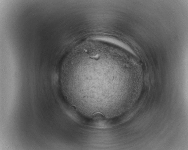 X0000115290365200911090957