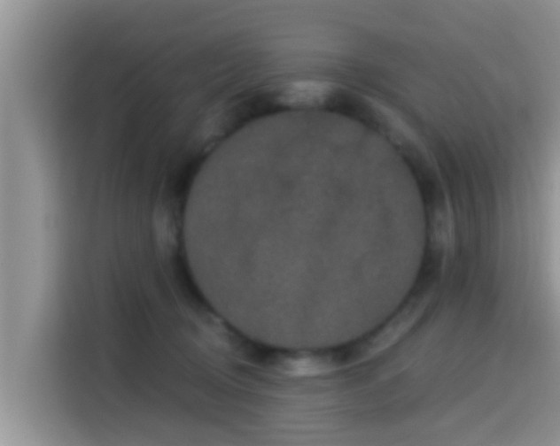 X0000115290370200911090957