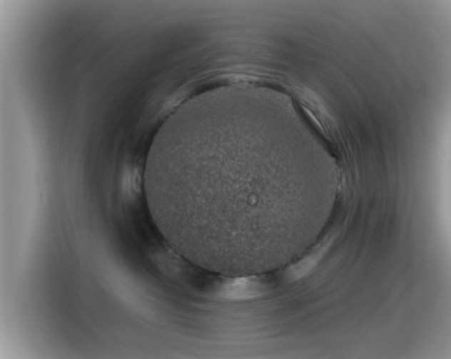 X0000115290382200911090957