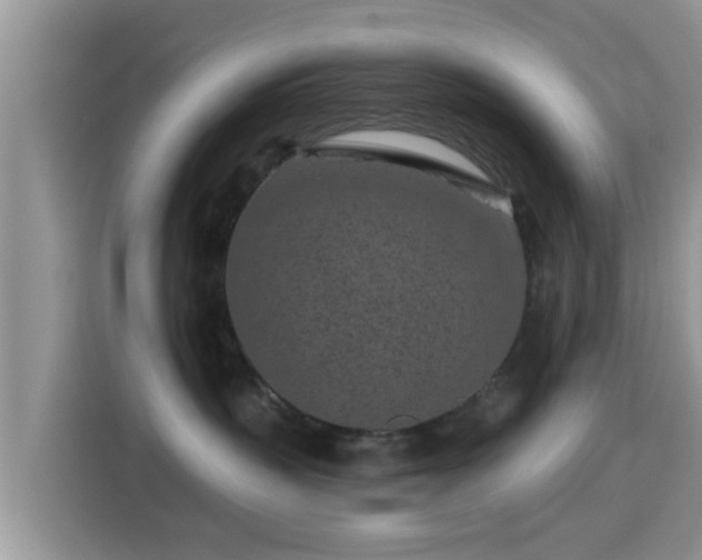 X0000115290383200911090957