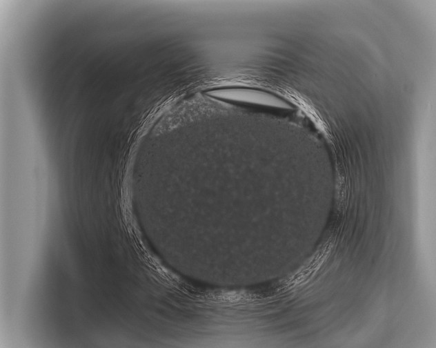X0000115290385200911090956
