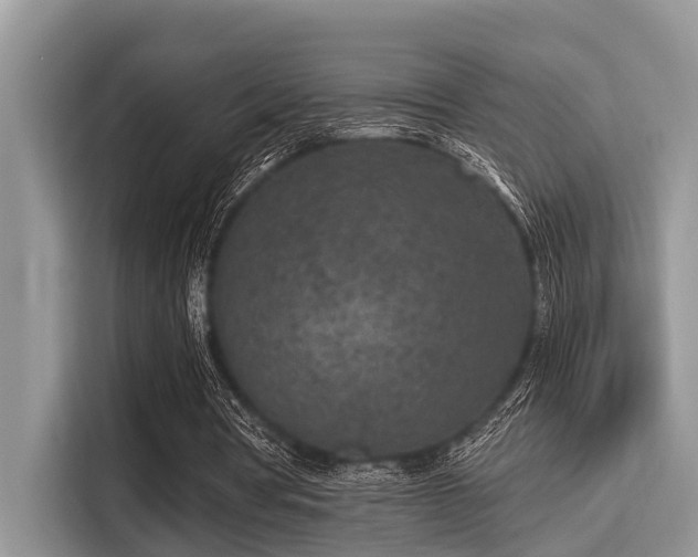 X0000115290386200911090956
