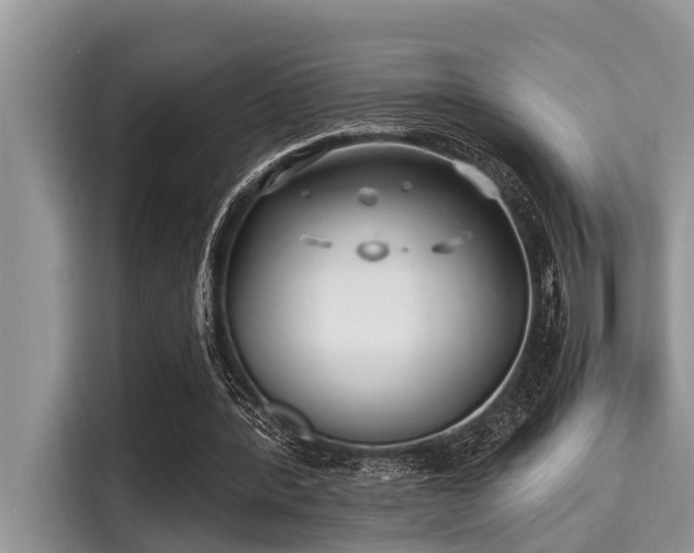 X0000115290388200911090956