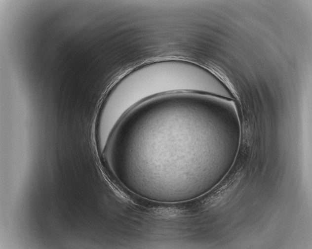 X0000115290389200911090956